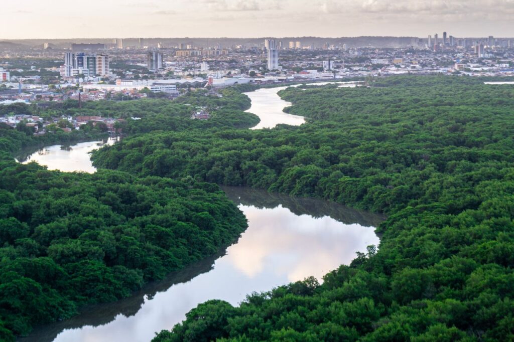 Stunning aerial view of Recife's cityscape and lush Capibaribe River, showcasing urban and natural beauty.