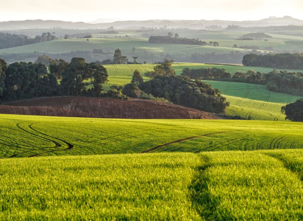 Stunning countryside view of rolling hills and farmland in Pitanga, Paraná, Brazil.